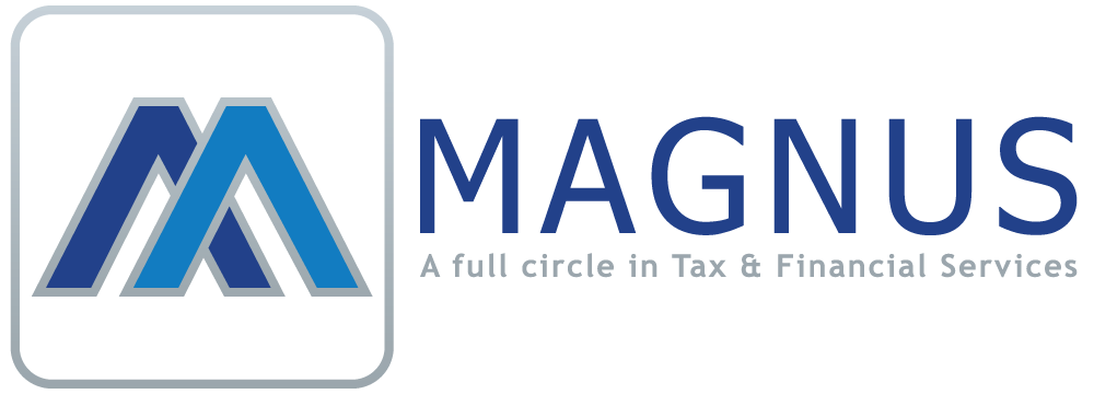 Magnus Financial Services